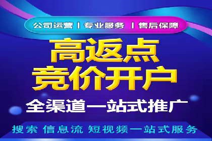 百度竞价排名策略解析及实战案例